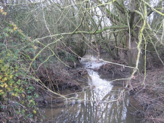 009The Beck (640x480)