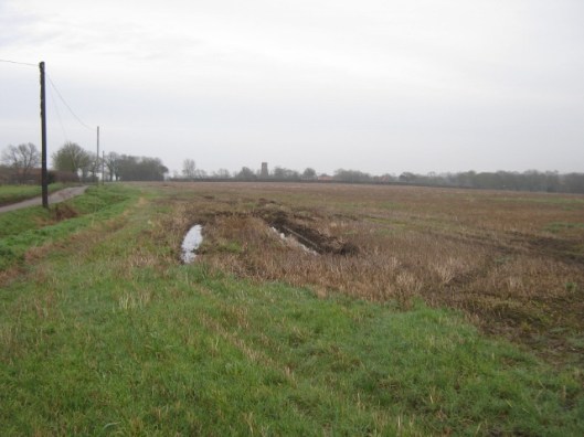 020Wet field (640x480)