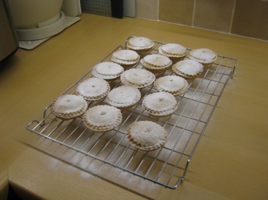 025Covered with icing sugar (640x480)