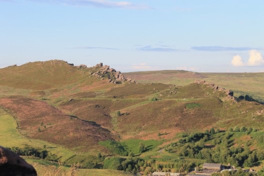 033Roaches (640x427)