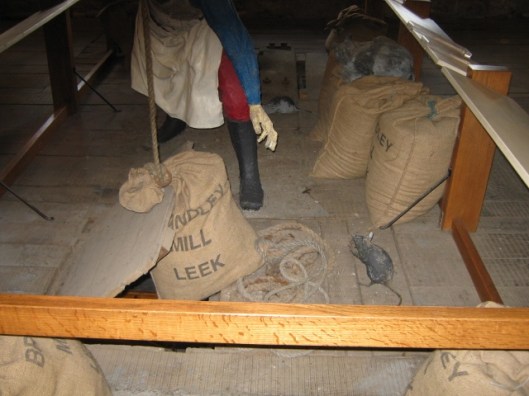 060Garner floor (640x480)