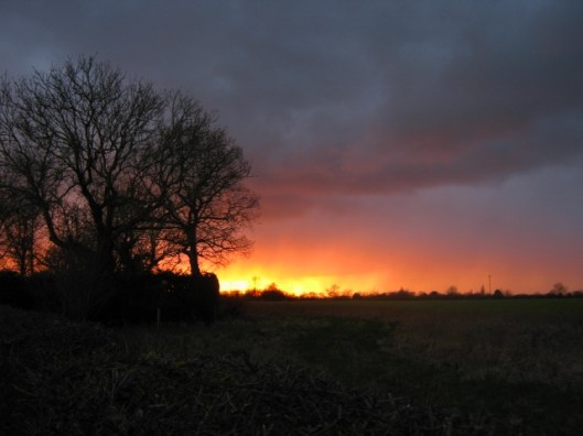 IMG_3883Sunset (640x480)