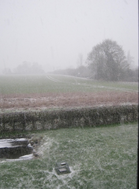 IMG_3919Snowfall (472x640)