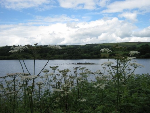 001Tittesworth reservoir (640x480)