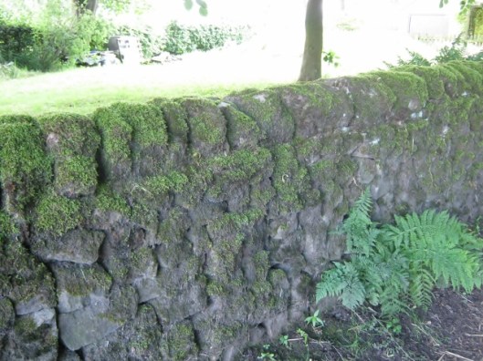 009Mossy wall (640x480)