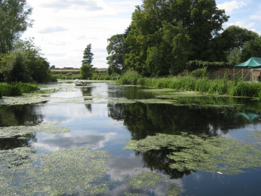 020Mill pond (640x480)