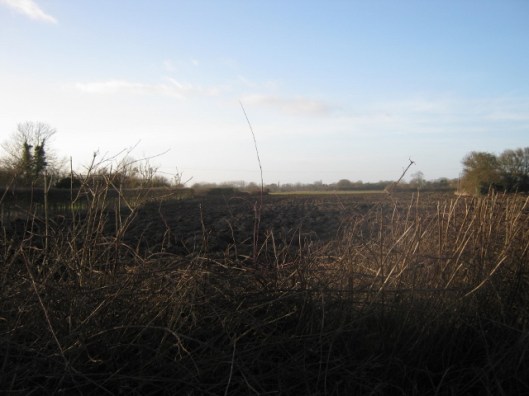 IMG_3983Newly ploughed field (640x480)