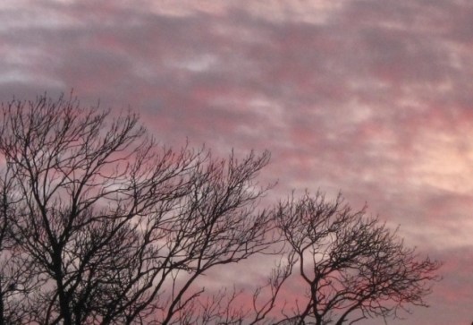 IMG_4017Sunset (640x440)