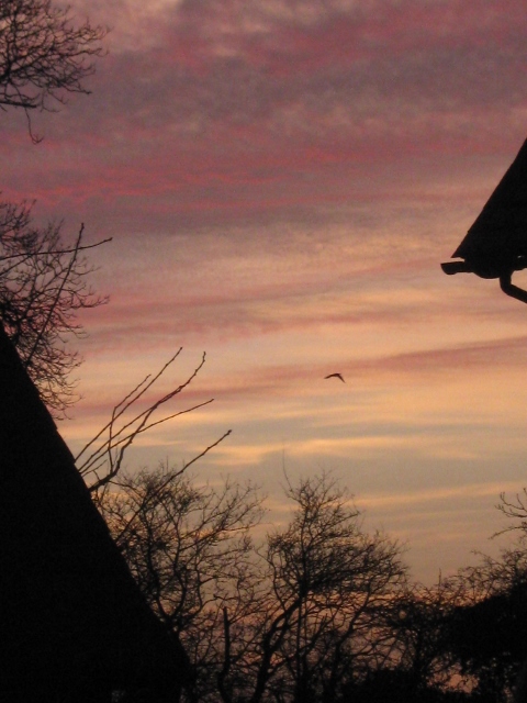 IMG_4018Sunset (480x640)