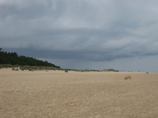 017Wells beach (640x480)