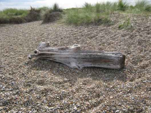 021Driftwood (640x480)