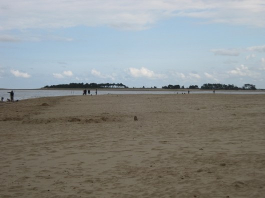 029Beach and pines (640x480)