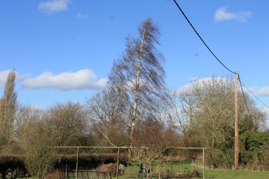 IMG_1871Garden (640x427)