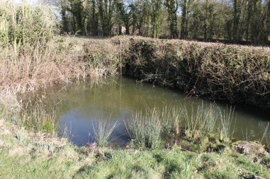 IMG_1889Corner pond (640x427)