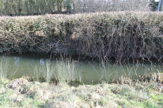 IMG_1890Ditch (640x427)