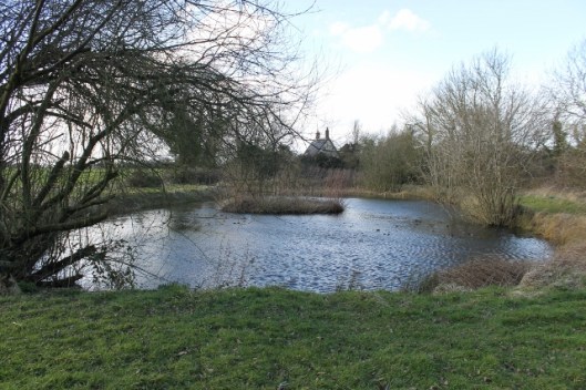 IMG_1893Pond (640x427)