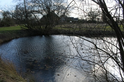IMG_1894Pond (640x427)