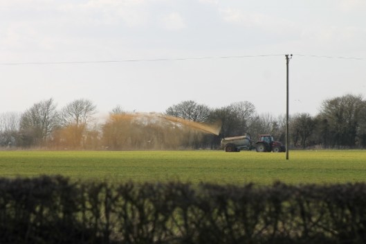 IMG_1934Liquid manure spraying (640x427)