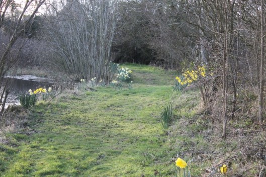 IMG_1986Path round the pond (640x427)