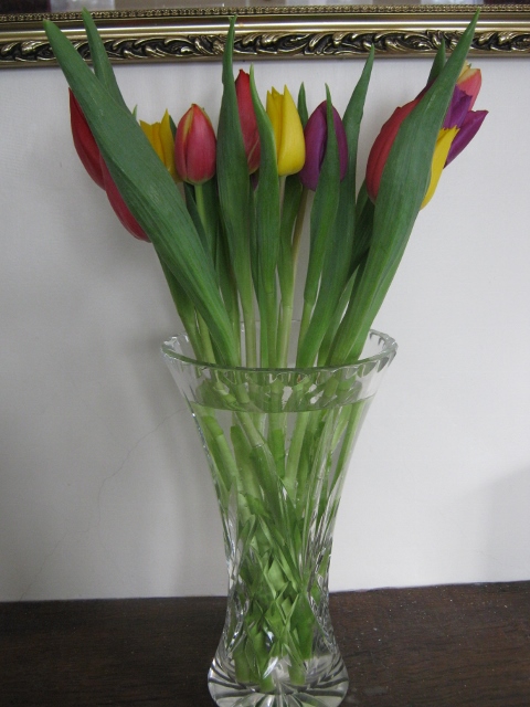IMG_4086Tulips (480x640)