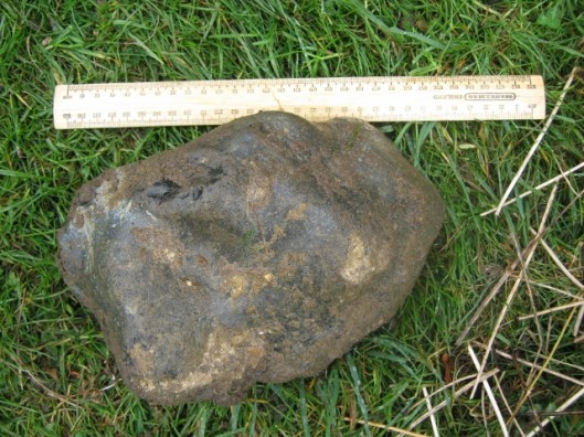 IMG_4298Flint boulder (640x480)