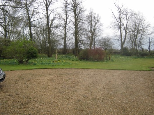 IMG_4304Daffodil Day (640x480)