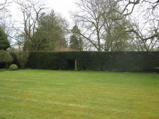 IMG_4306Daffodil Day (640x480)