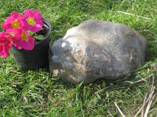 IMG_4321Flint boulder (640x480)