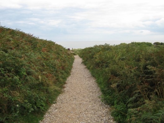 005Path at Dunwich Heath (640x480)