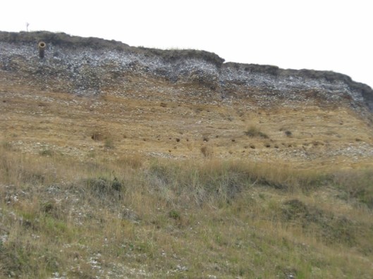 011Dunwich cliffs (640x480)