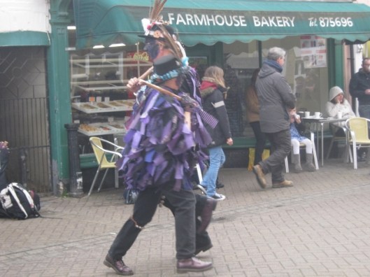 IMG_4286Pedant's Revolt (640x480)