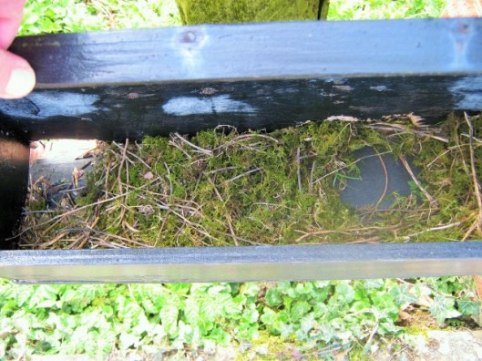 IMG_4348Parcel box with nest (640x480)