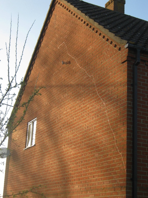 IMG_4403Snail trail (480x640)