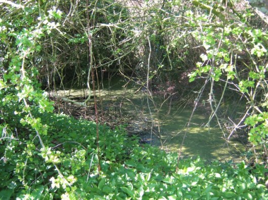IMG_4454The ditch (640x480)