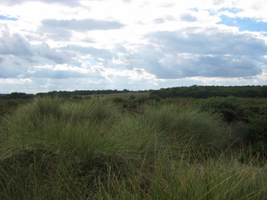 024Dunwich Heath (640x480)