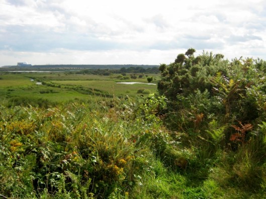 029Dunwich Heath (640x480)