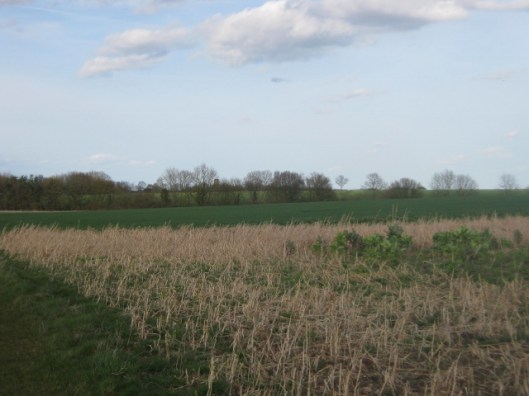 St Peters church across the fields