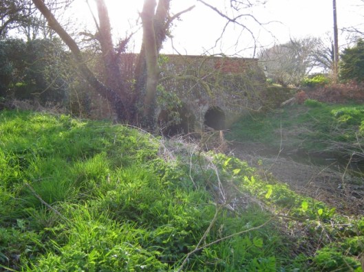 IMG_4367Bridge (640x480)