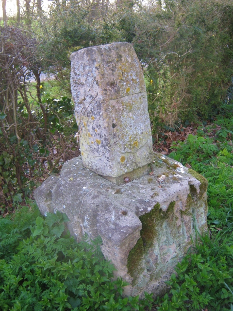 IMG_4393Preaching cross (480x640)