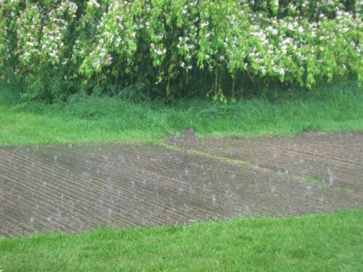 IMG_4632Heavy rain (640x480)