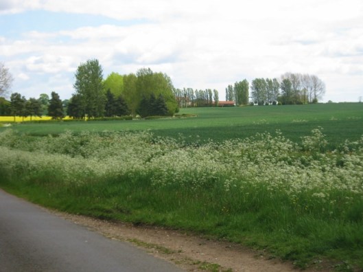 IMG_4698View from lane (640x480)