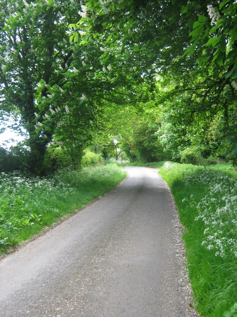 IMG_4707Lane (480x640)