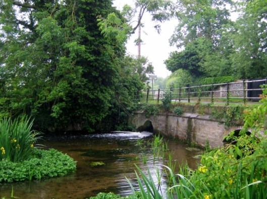 IMG_4786Pakenham (640x480)