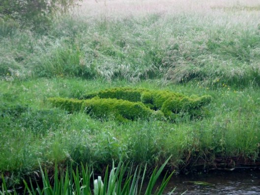 IMG_4794Topiary crocodiles (640x480)