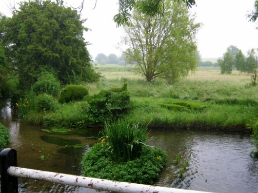 IMG_4795Topiary (640x480)