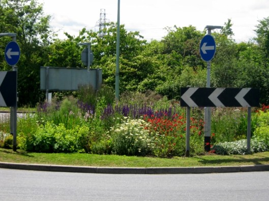IMG_4802Traffic island Halesworth (640x480)