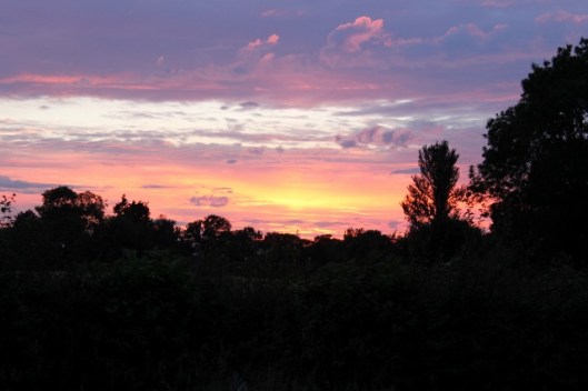 IMG_2304Sunset (640x427)