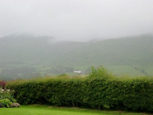 IMG_4931View from kitchen window (640x480)