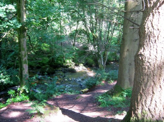 IMG_4934Aira Force (640x480)