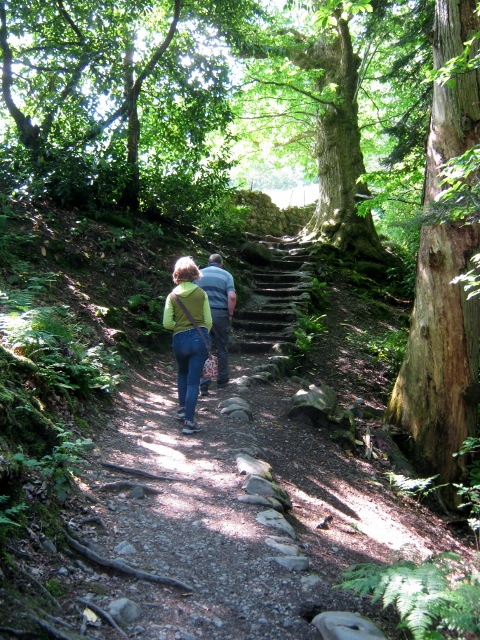 IMG_4935At Aira Force (480x640)